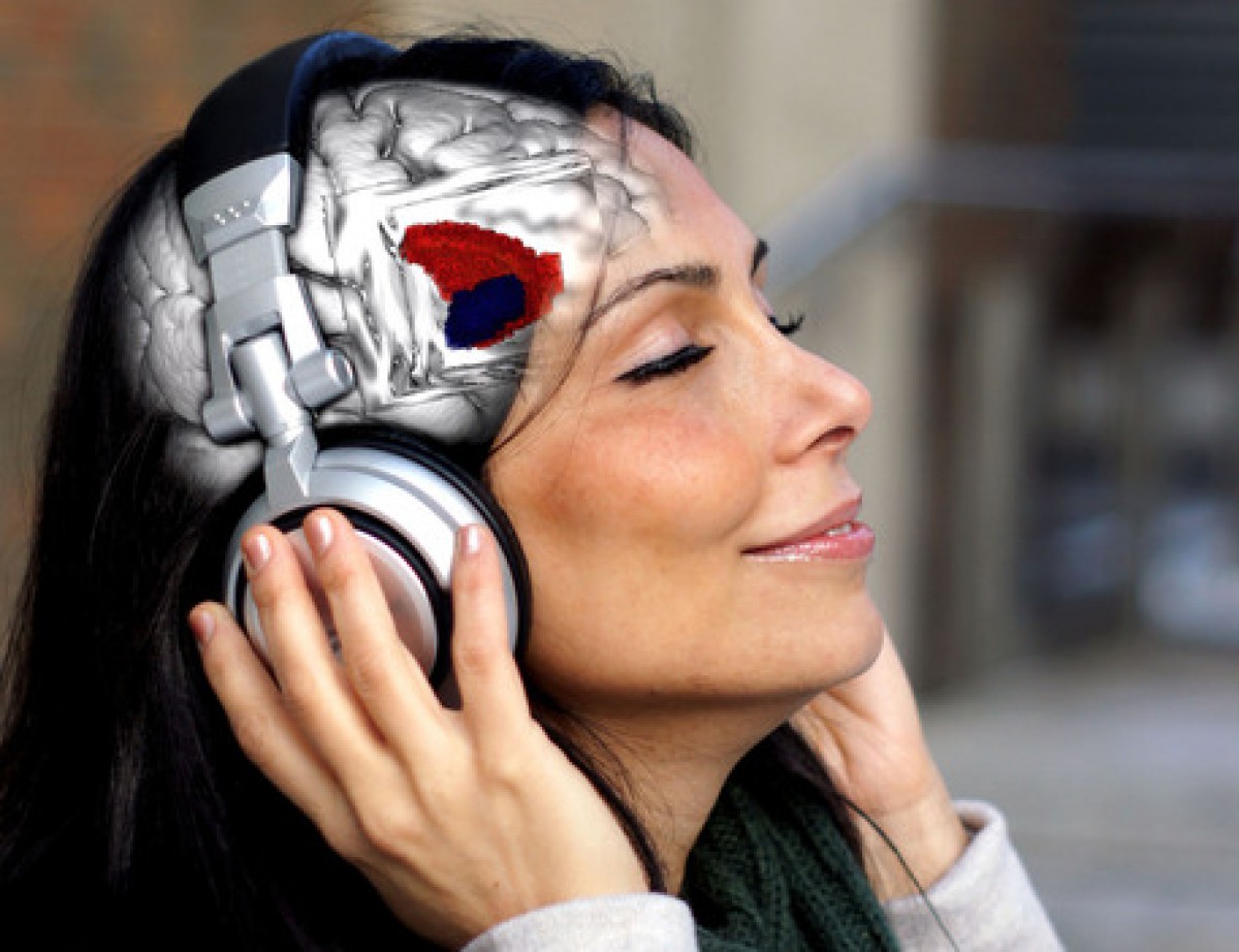 Ansa.it: La canzone preferita accende gli stessi recettori dell&#039;LSD