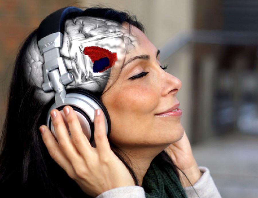 Ansa.it: La canzone preferita accende gli stessi recettori dell'LSD